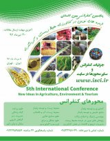 پوستر پنجمین کنفرانس بین المللی ایده های نوین در کشاورزی، محیط زیست و گردشگری